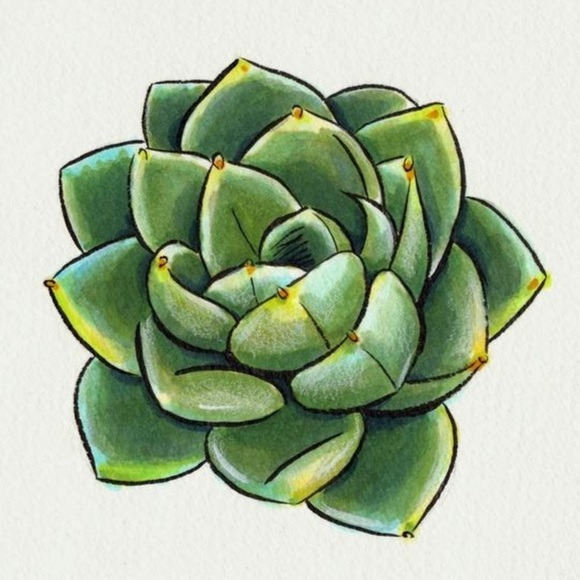 Meet your Posher, Maggie - Picture 1 of 1